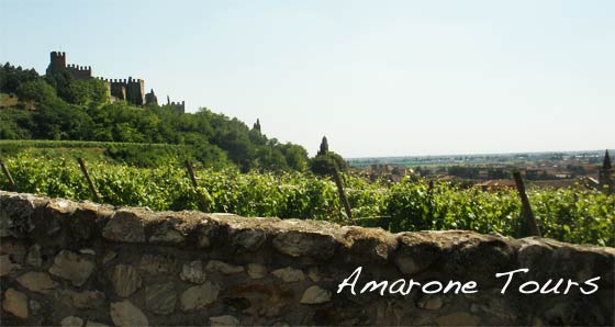 soave-castle-vineyards soave castle vineyards