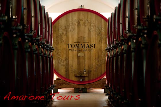 tommasi winery barrel