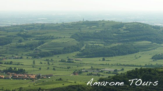 soave-castelcerino-landscape