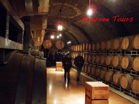 wine-tours-bertani-2