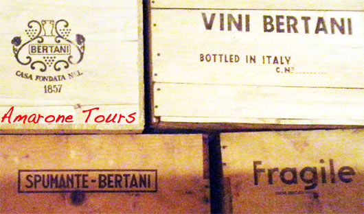 wine-tours-bertani