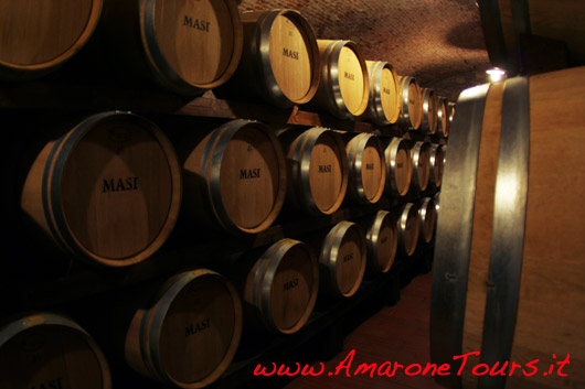 wine-tours-masi-barrique-2