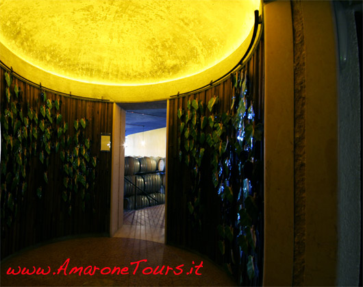 wine-tours-masi-cellar