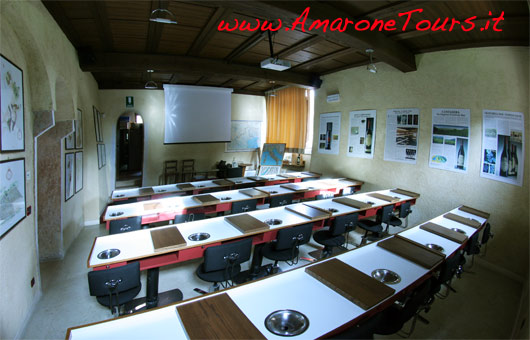 wine-tours-masi-tasting-panel