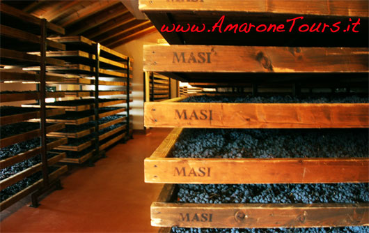 wine-tours-masi