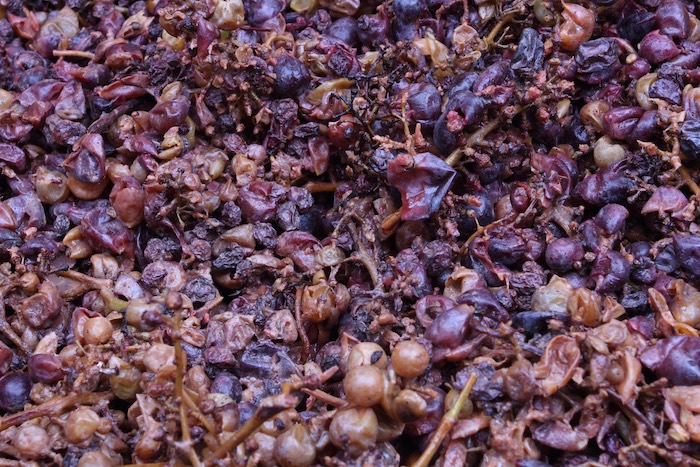 Grape Skin used in the production of Ripasso wine