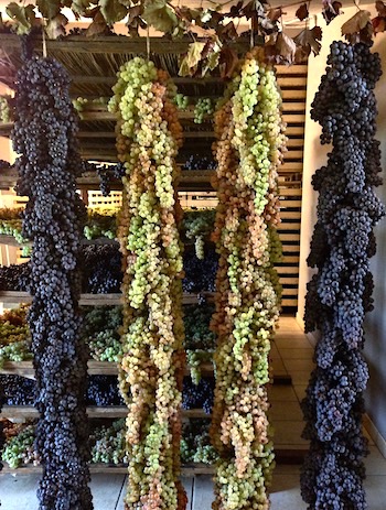 drying grapes hanging