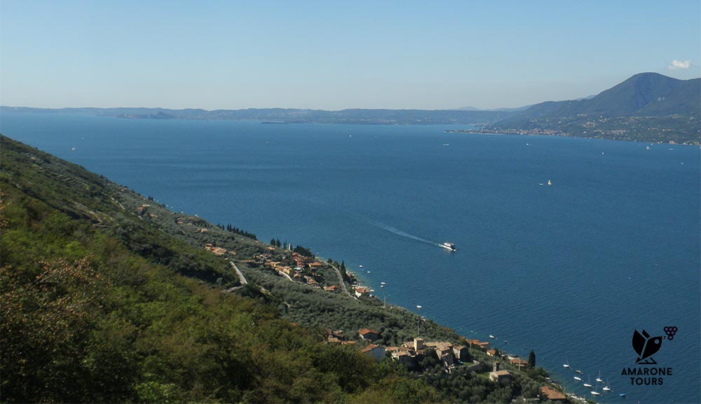 Lake Garda, vineyards and olive groves