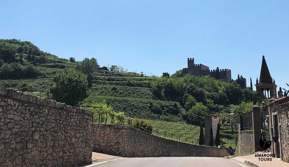 Soave castle and vineyards