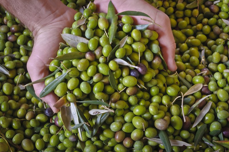 olives