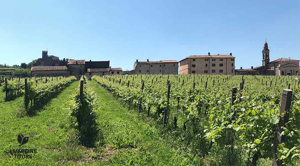 soave castle and vineyards