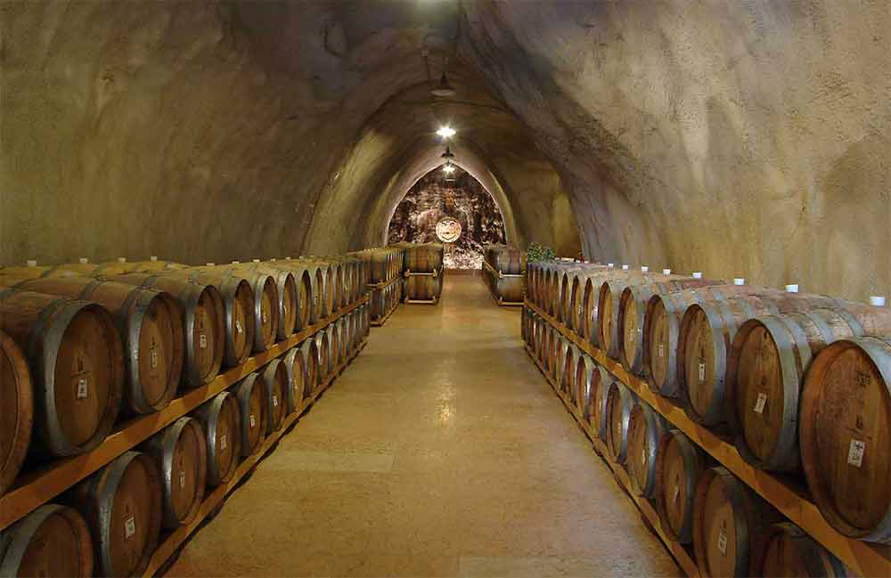 cellar in Soave